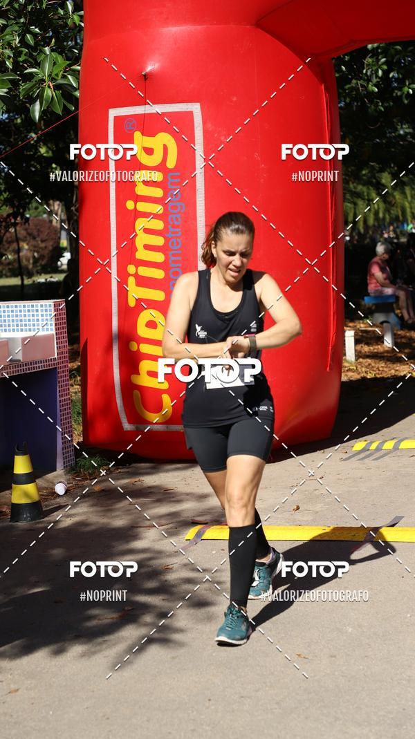 Compra tus fotos del eventoPIT BULL RUNNING En Fotop