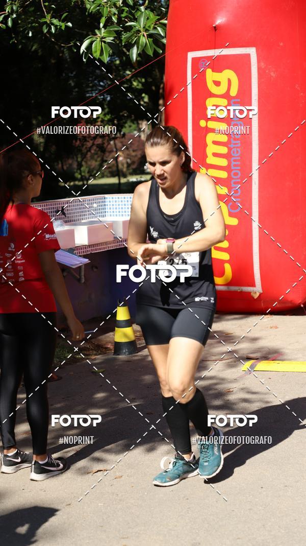 Compra tus fotos del eventoPIT BULL RUNNING En Fotop