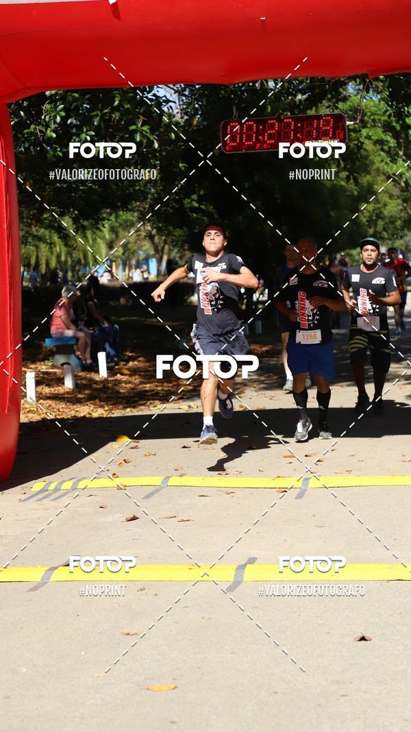 Compra tus fotos del eventoPIT BULL RUNNING En Fotop