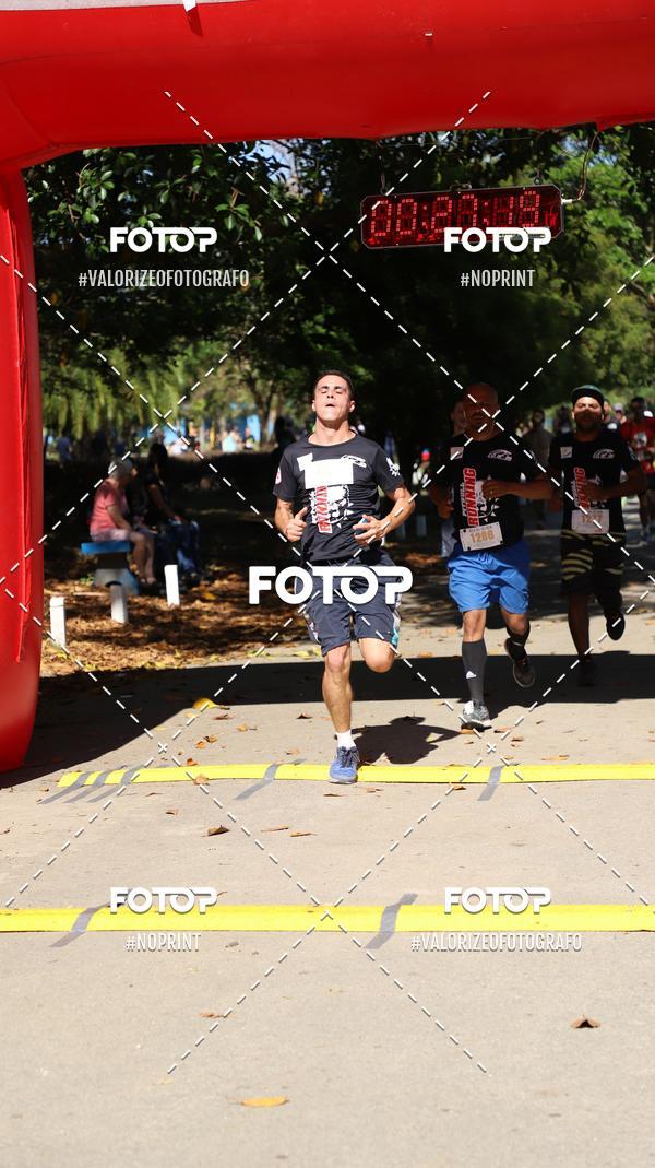 Compra tus fotos del eventoPIT BULL RUNNING En Fotop
