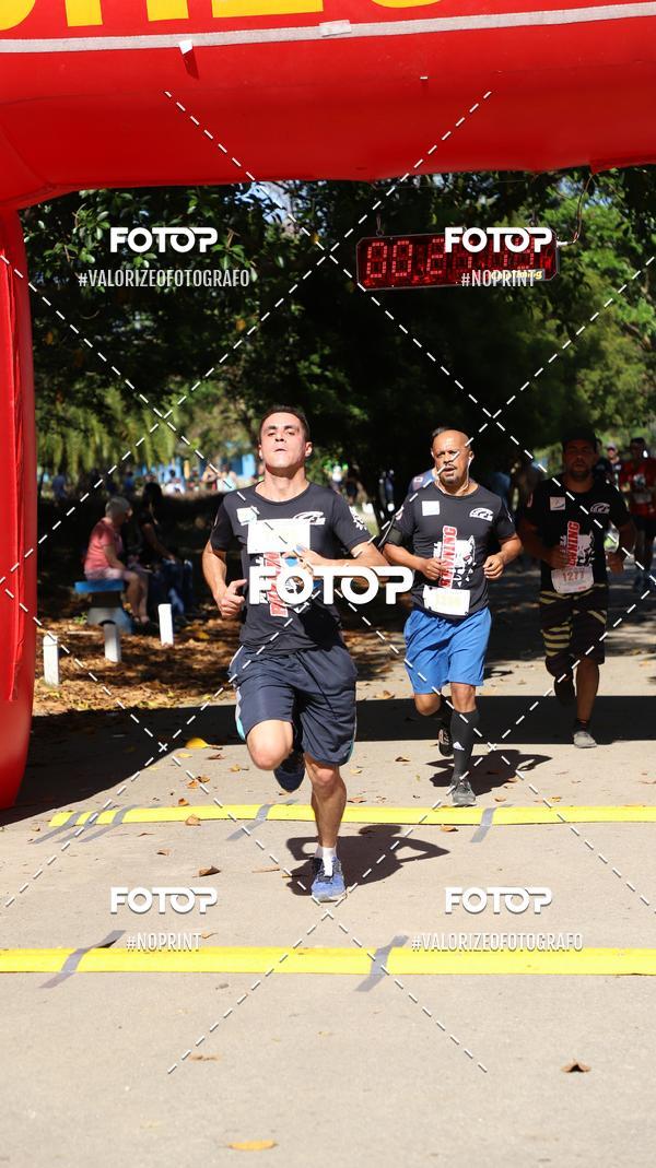 Compra tus fotos del eventoPIT BULL RUNNING En Fotop