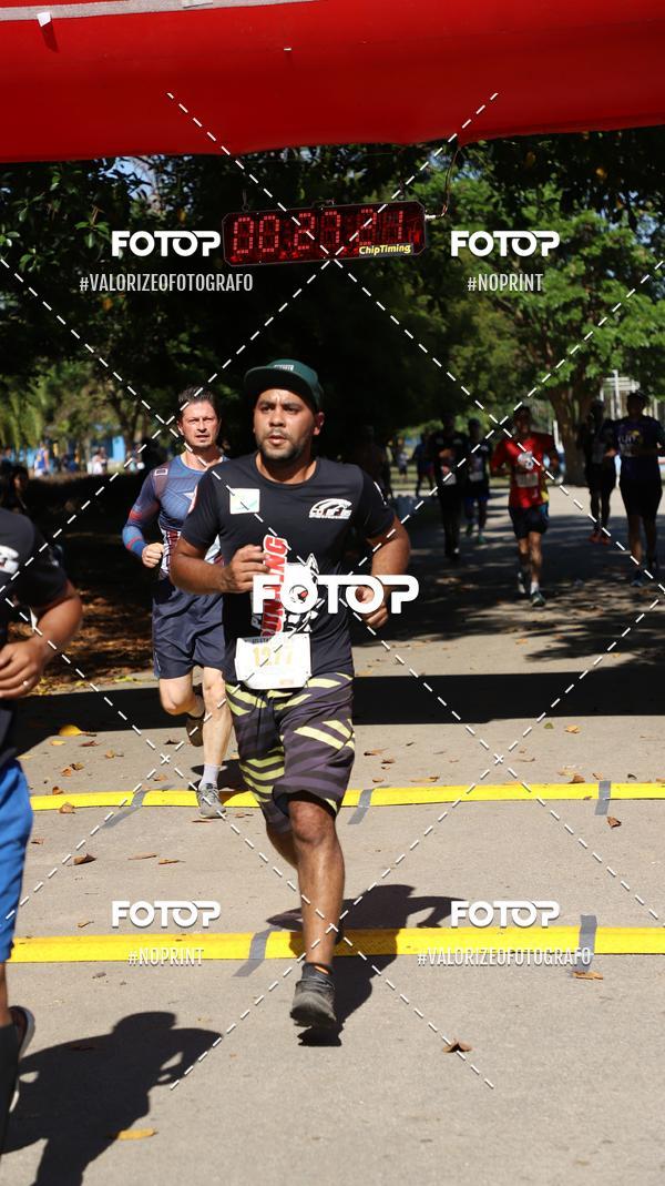 Compra tus fotos del eventoPIT BULL RUNNING En Fotop