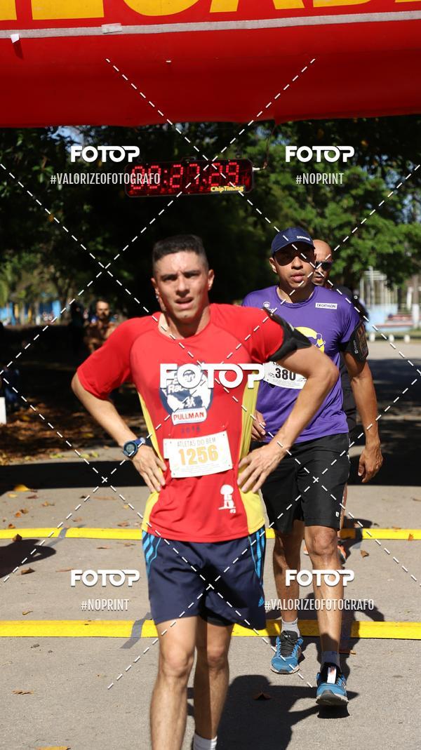 Compra tus fotos del eventoPIT BULL RUNNING En Fotop