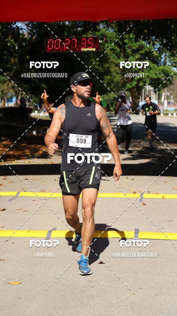 Compra tus fotos del eventoPIT BULL RUNNING En Fotop