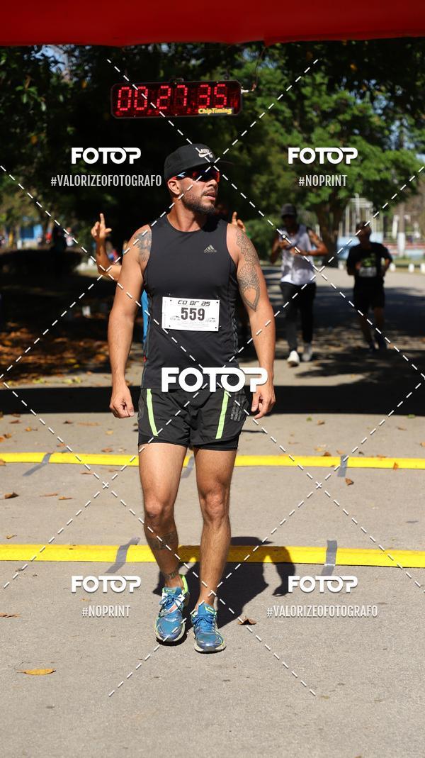 Compra tus fotos del eventoPIT BULL RUNNING En Fotop