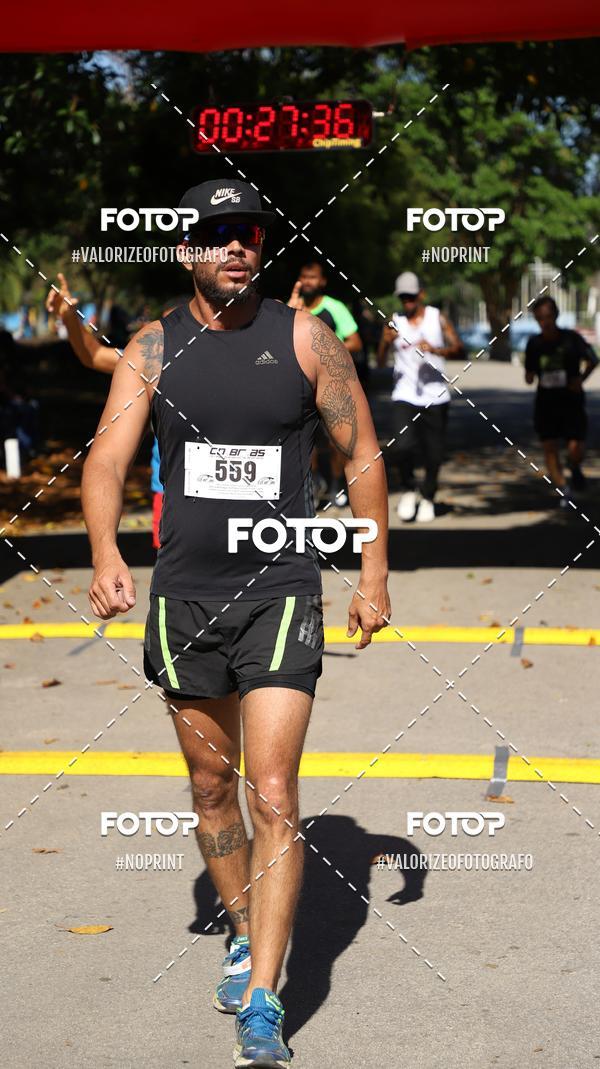 Compra tus fotos del eventoPIT BULL RUNNING En Fotop