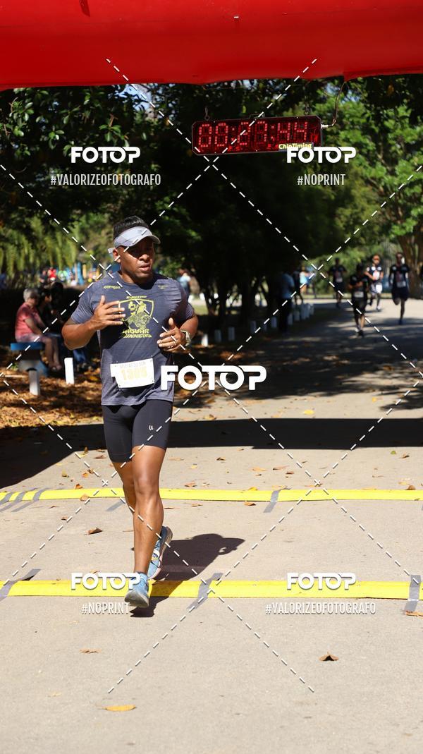 Compra tus fotos del eventoPIT BULL RUNNING En Fotop