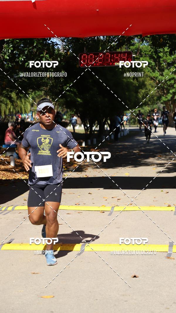 Compra tus fotos del eventoPIT BULL RUNNING En Fotop