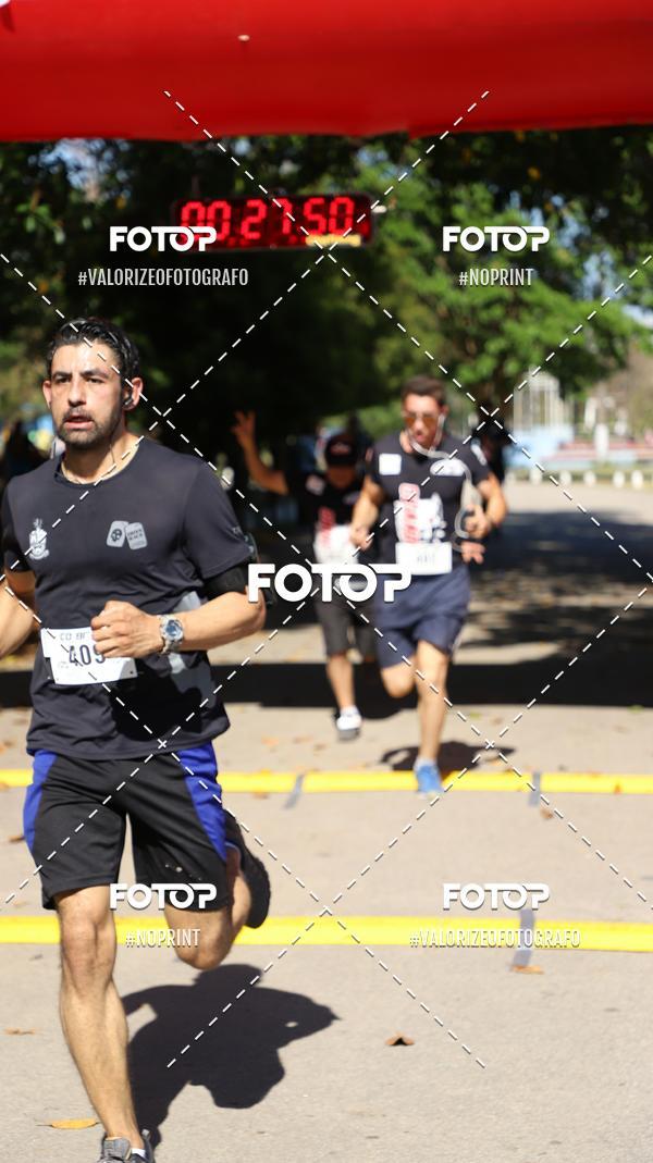 Compra tus fotos del eventoPIT BULL RUNNING En Fotop