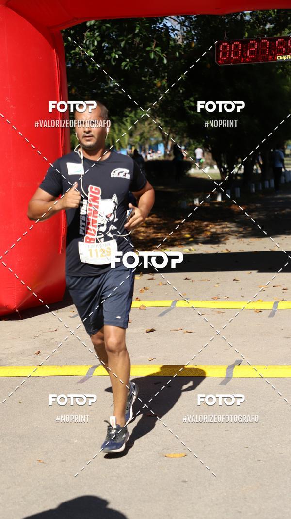 Compra tus fotos del eventoPIT BULL RUNNING En Fotop
