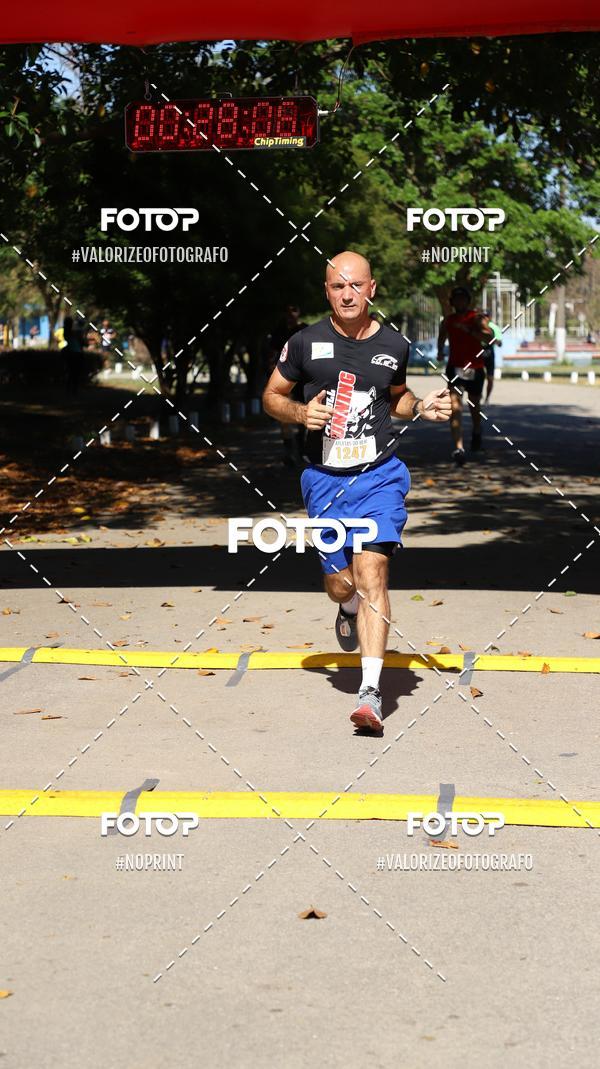 Compra tus fotos del eventoPIT BULL RUNNING En Fotop