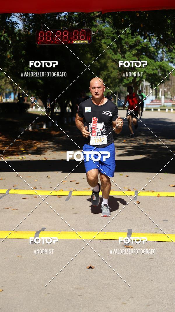 Compra tus fotos del eventoPIT BULL RUNNING En Fotop