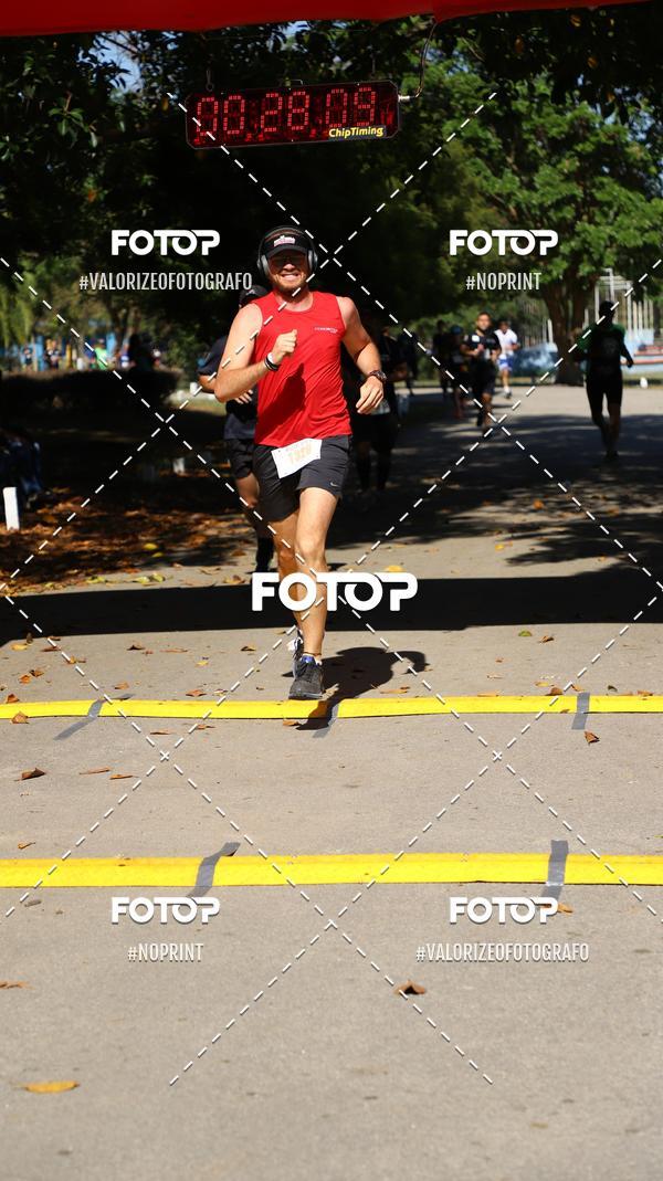 Compra tus fotos del eventoPIT BULL RUNNING En Fotop