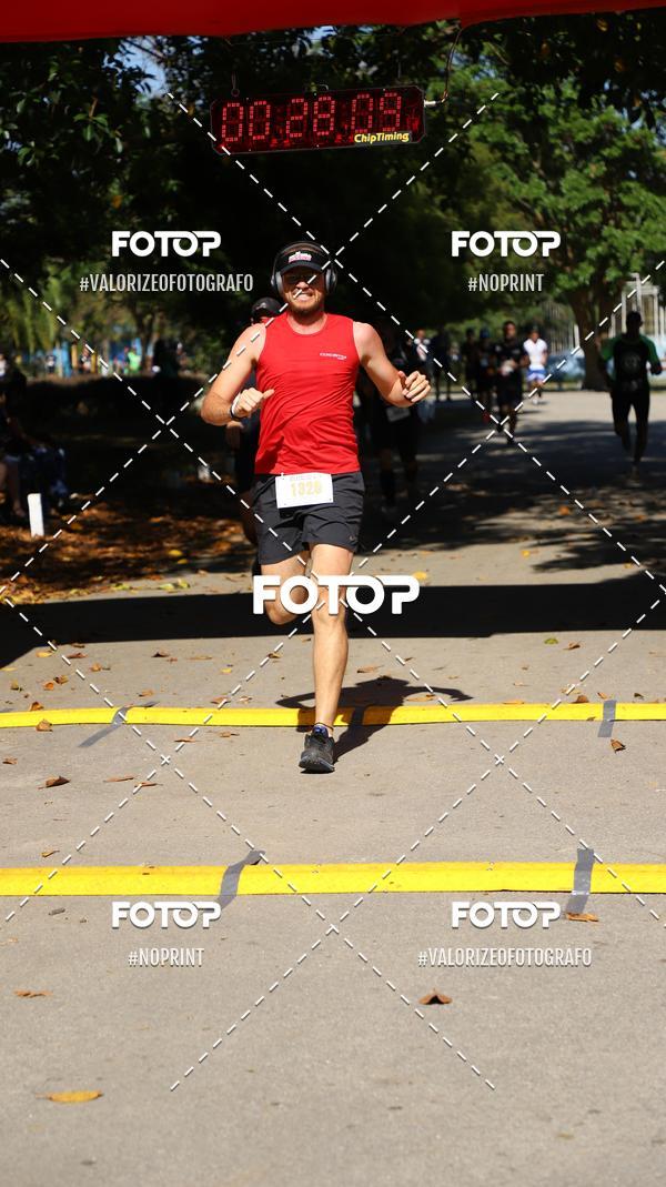 Compra tus fotos del eventoPIT BULL RUNNING En Fotop