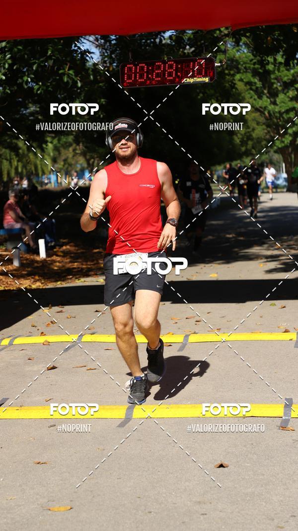 Compra tus fotos del eventoPIT BULL RUNNING En Fotop