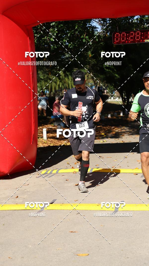 Compra tus fotos del eventoPIT BULL RUNNING En Fotop
