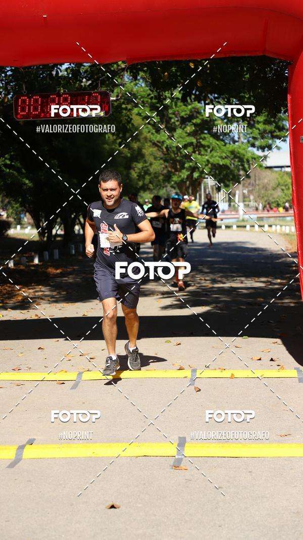 Compra tus fotos del eventoPIT BULL RUNNING En Fotop