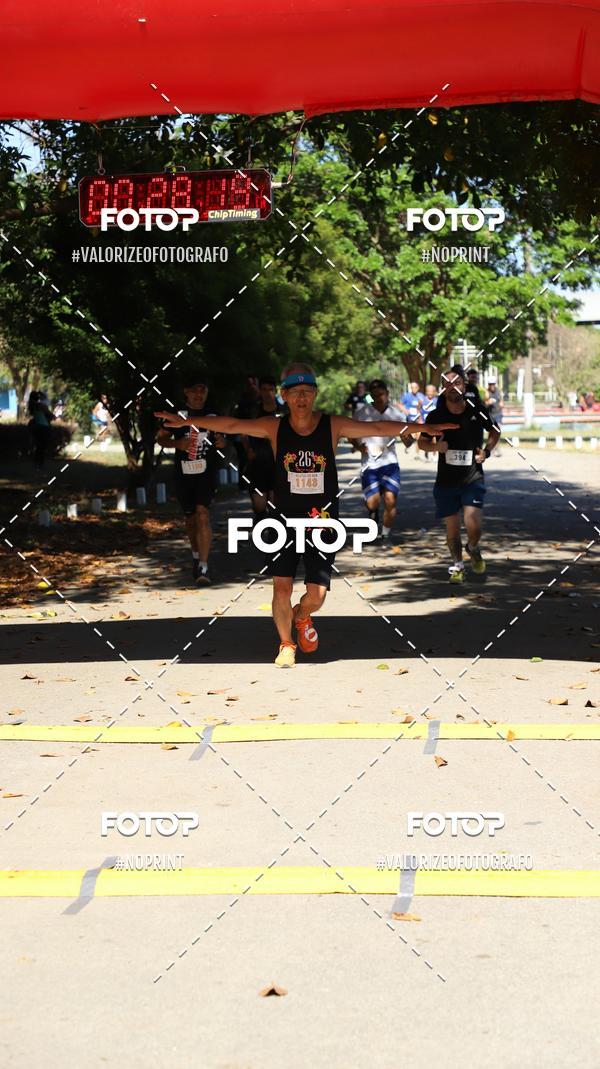 Compra tus fotos del eventoPIT BULL RUNNING En Fotop