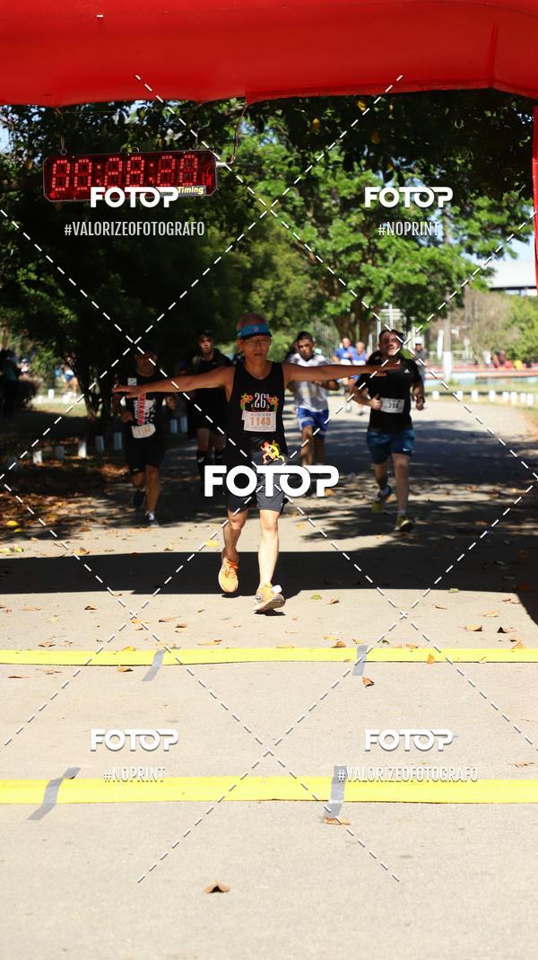 Compra tus fotos del eventoPIT BULL RUNNING En Fotop