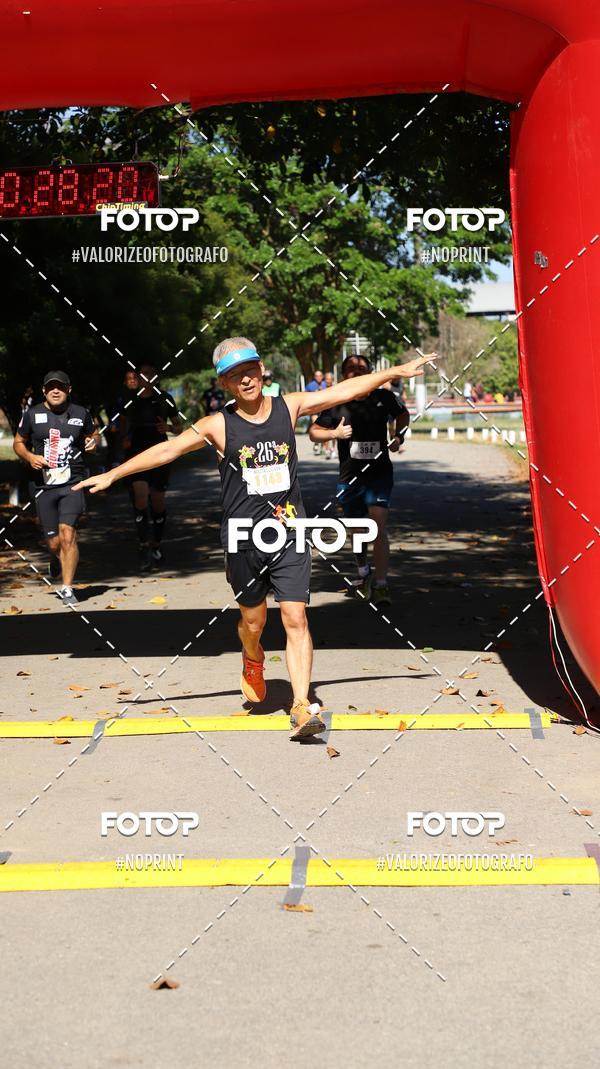 Compra tus fotos del eventoPIT BULL RUNNING En Fotop