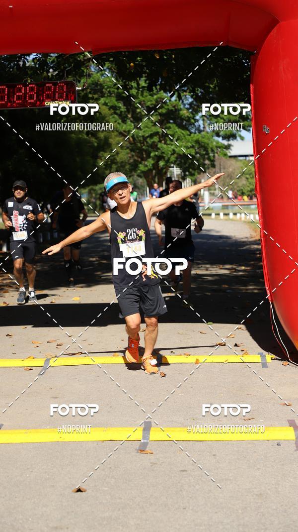 Compra tus fotos del eventoPIT BULL RUNNING En Fotop