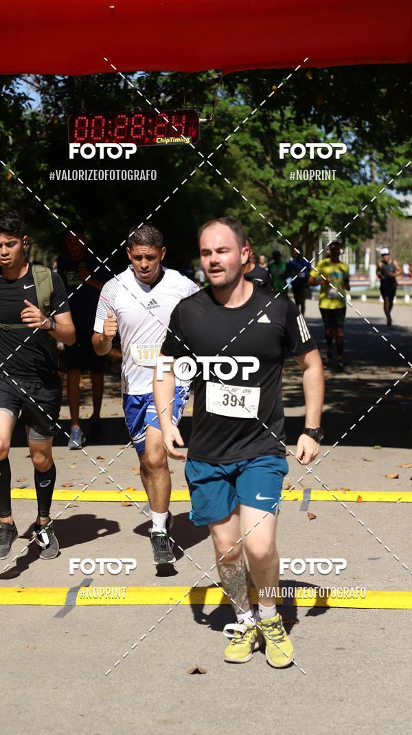 Compra tus fotos del eventoPIT BULL RUNNING En Fotop