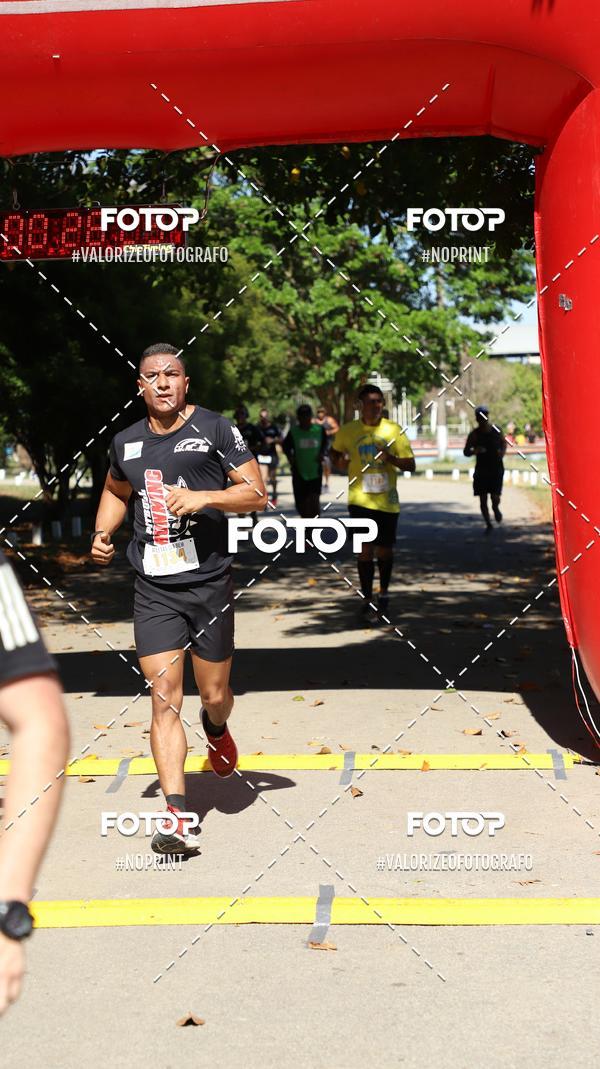 Buy your photos of the eventPIT BULL RUNNING on Fotop