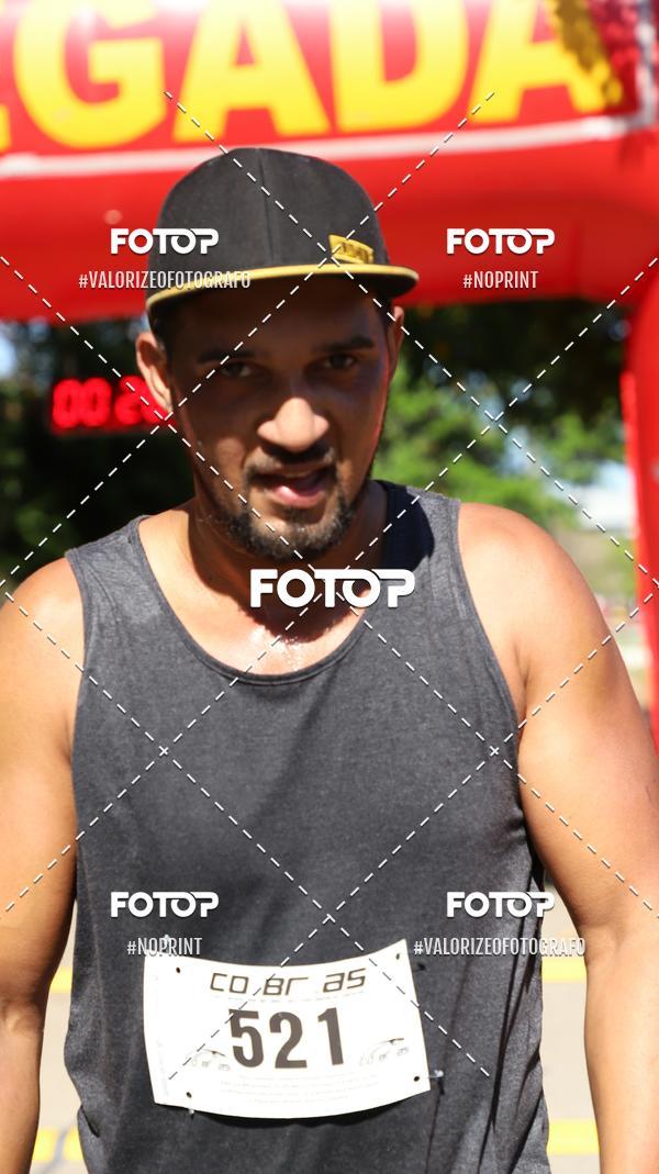 Buy your photos of the eventPIT BULL RUNNING on Fotop