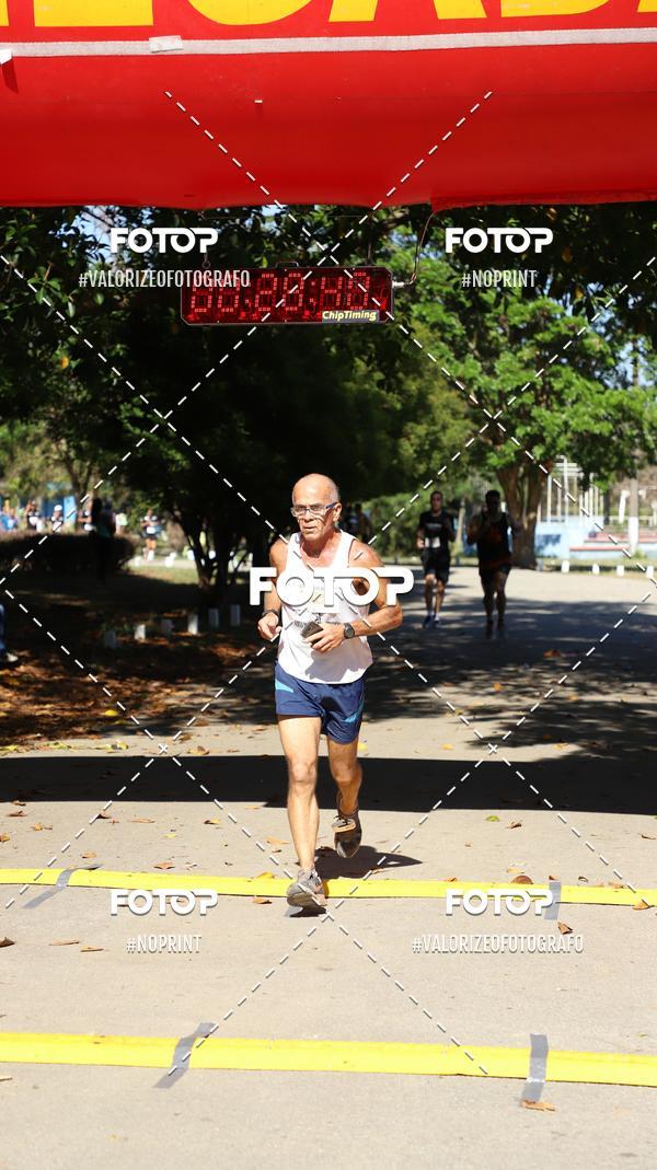 Buy your photos of the eventPIT BULL RUNNING on Fotop