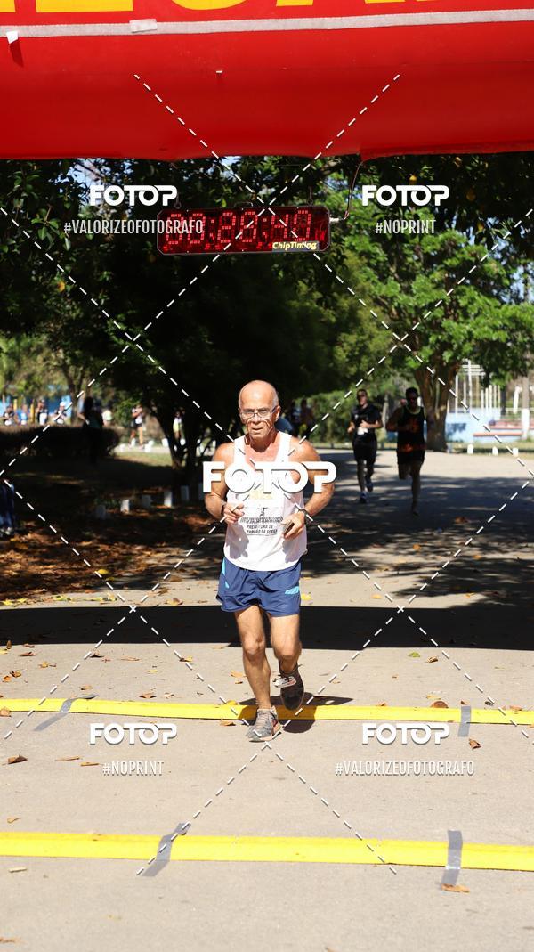 Buy your photos of the eventPIT BULL RUNNING on Fotop