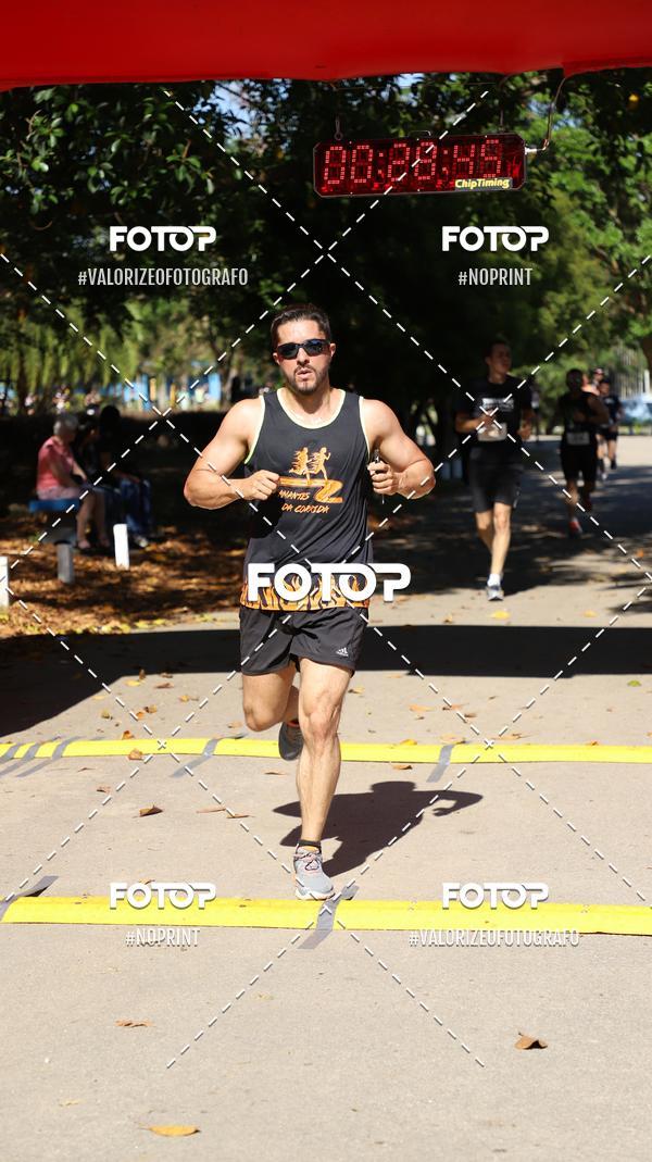 Buy your photos of the eventPIT BULL RUNNING on Fotop