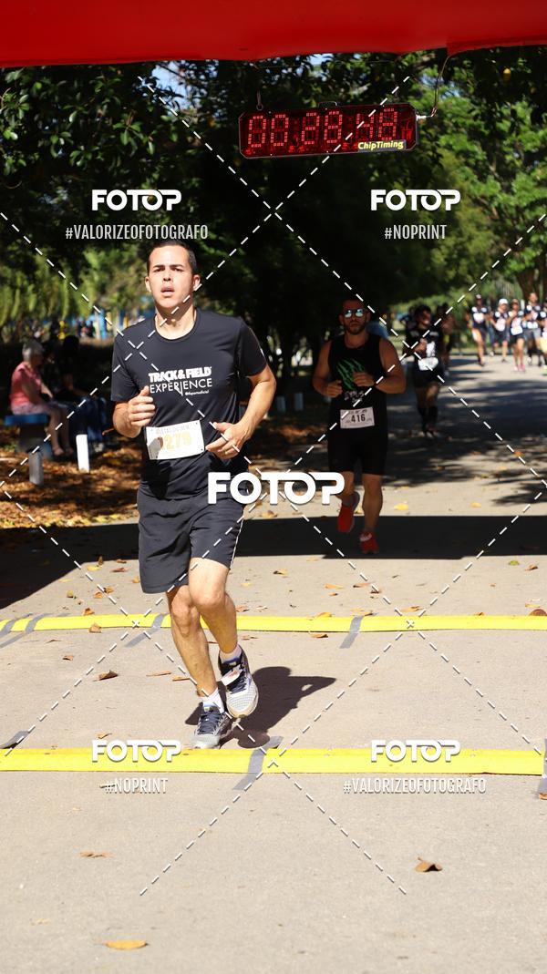 Buy your photos of the eventPIT BULL RUNNING on Fotop