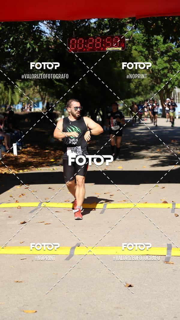 Buy your photos of the eventPIT BULL RUNNING on Fotop