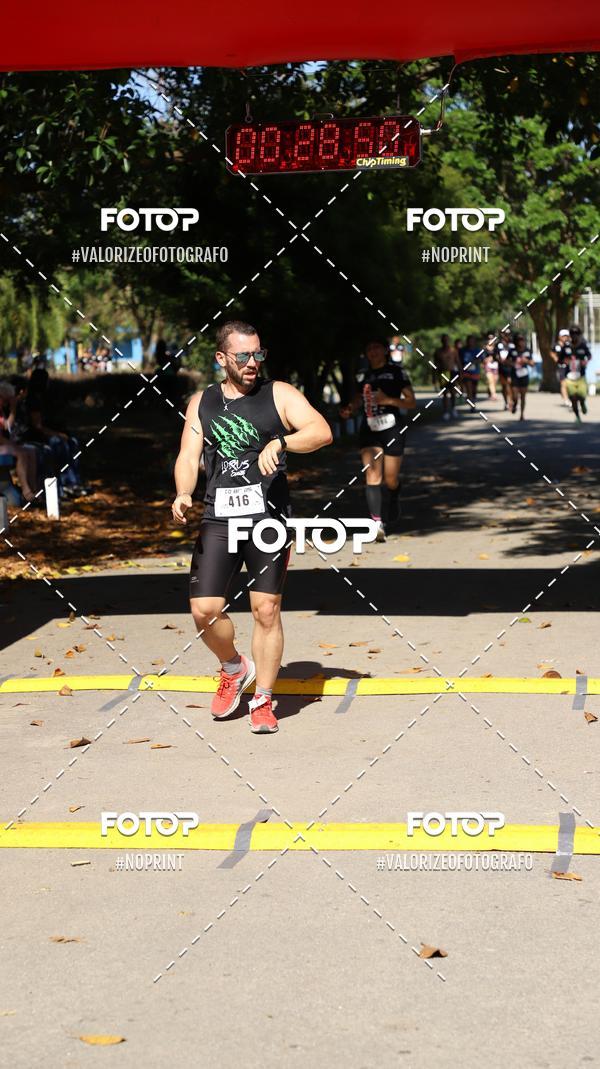 Buy your photos of the eventPIT BULL RUNNING on Fotop