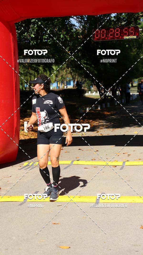 Buy your photos of the eventPIT BULL RUNNING on Fotop