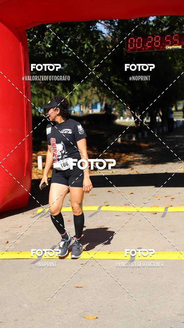 Buy your photos of the eventPIT BULL RUNNING on Fotop