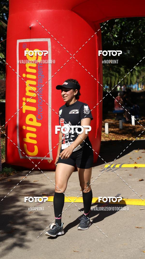 Buy your photos of the eventPIT BULL RUNNING on Fotop