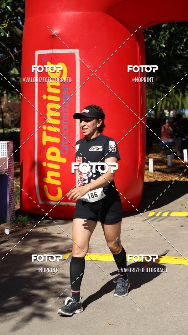 Buy your photos of the eventPIT BULL RUNNING on Fotop