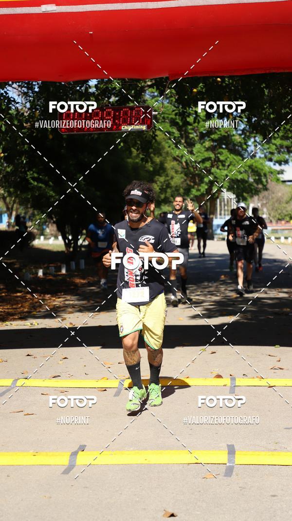 Buy your photos of the eventPIT BULL RUNNING on Fotop