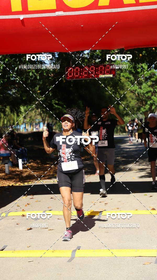 Buy your photos of the eventPIT BULL RUNNING on Fotop