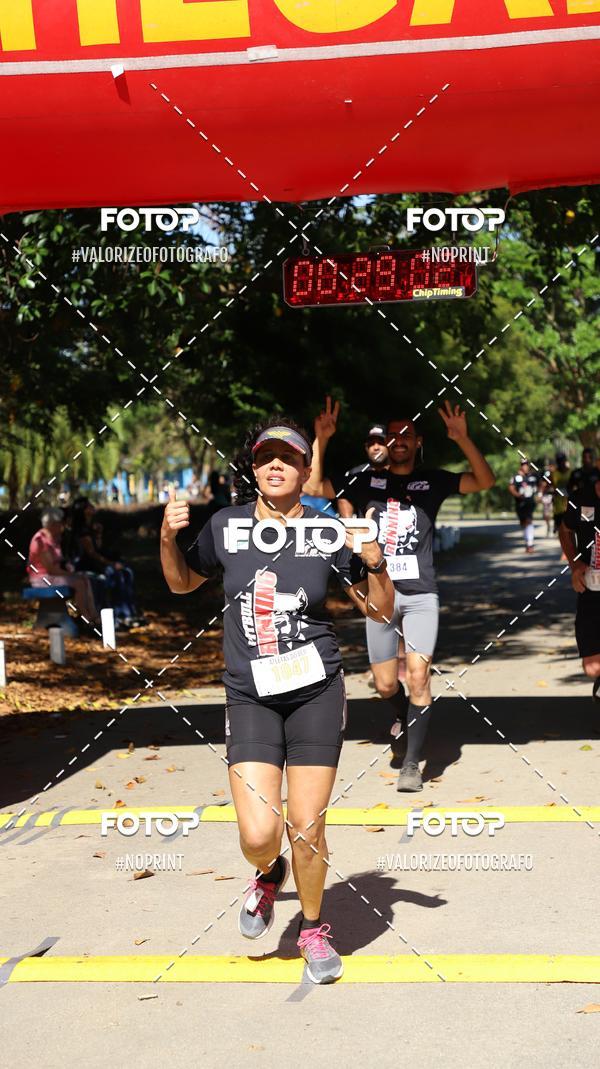 Buy your photos of the eventPIT BULL RUNNING on Fotop