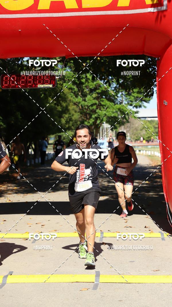 Achetez vos photos de l'vnementPIT BULL RUNNING sur Fotop