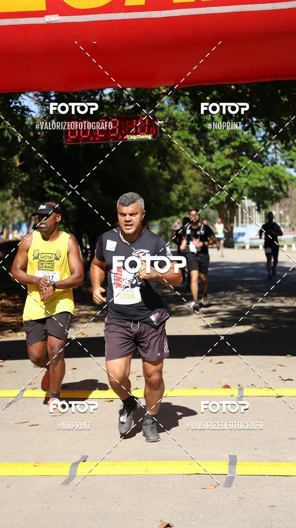 Achetez vos photos de l'vnementPIT BULL RUNNING sur Fotop