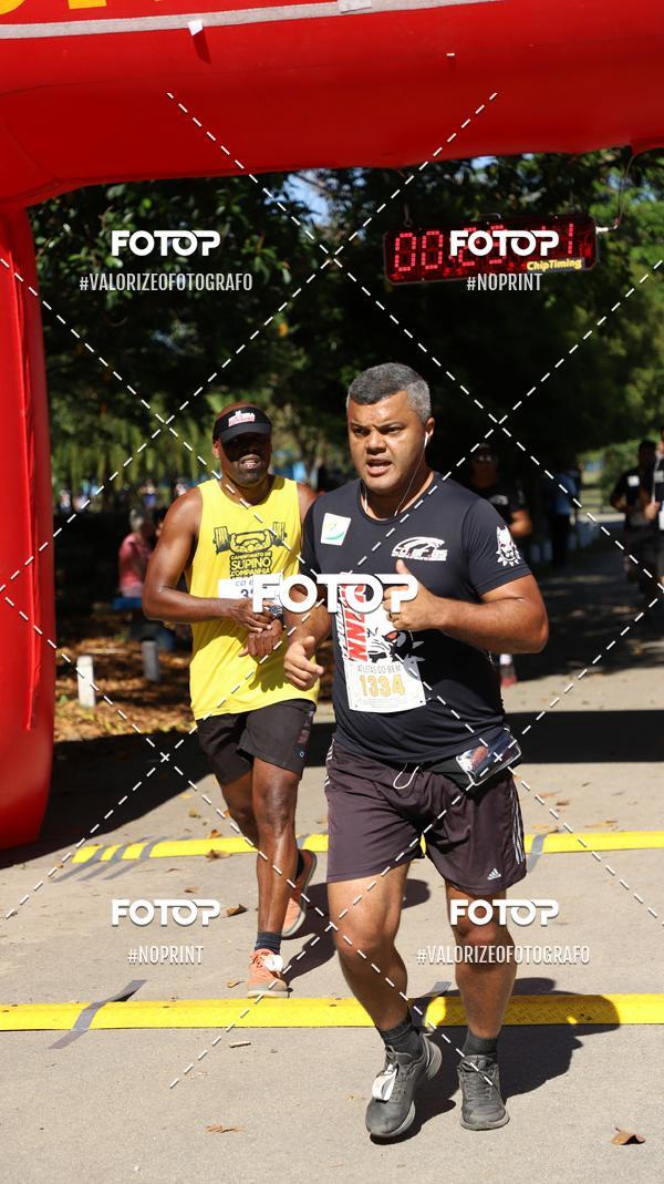 Achetez vos photos de l'vnementPIT BULL RUNNING sur Fotop