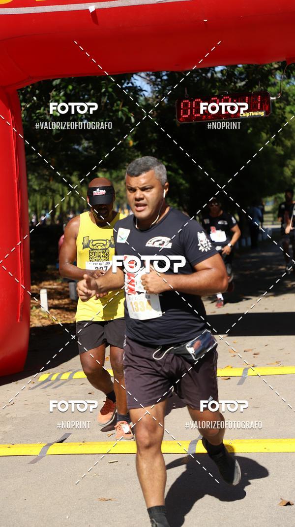 Achetez vos photos de l'vnementPIT BULL RUNNING sur Fotop