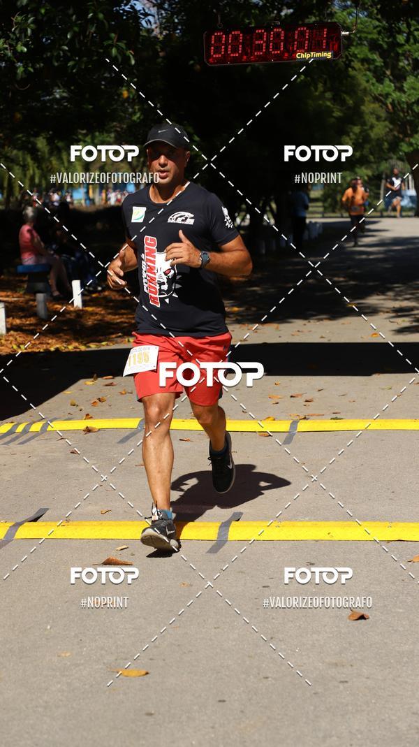 Achetez vos photos de l'vnementPIT BULL RUNNING sur Fotop