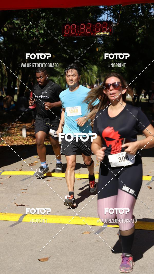 Achetez vos photos de l'vnementPIT BULL RUNNING sur Fotop