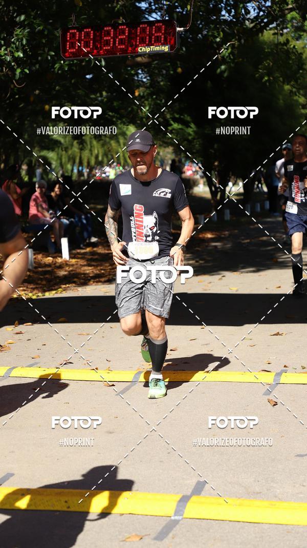 Compra tus fotos del eventoPIT BULL RUNNING En Fotop