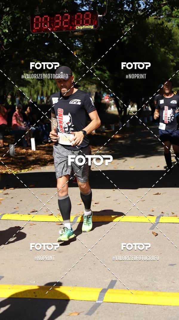 Compra tus fotos del eventoPIT BULL RUNNING En Fotop