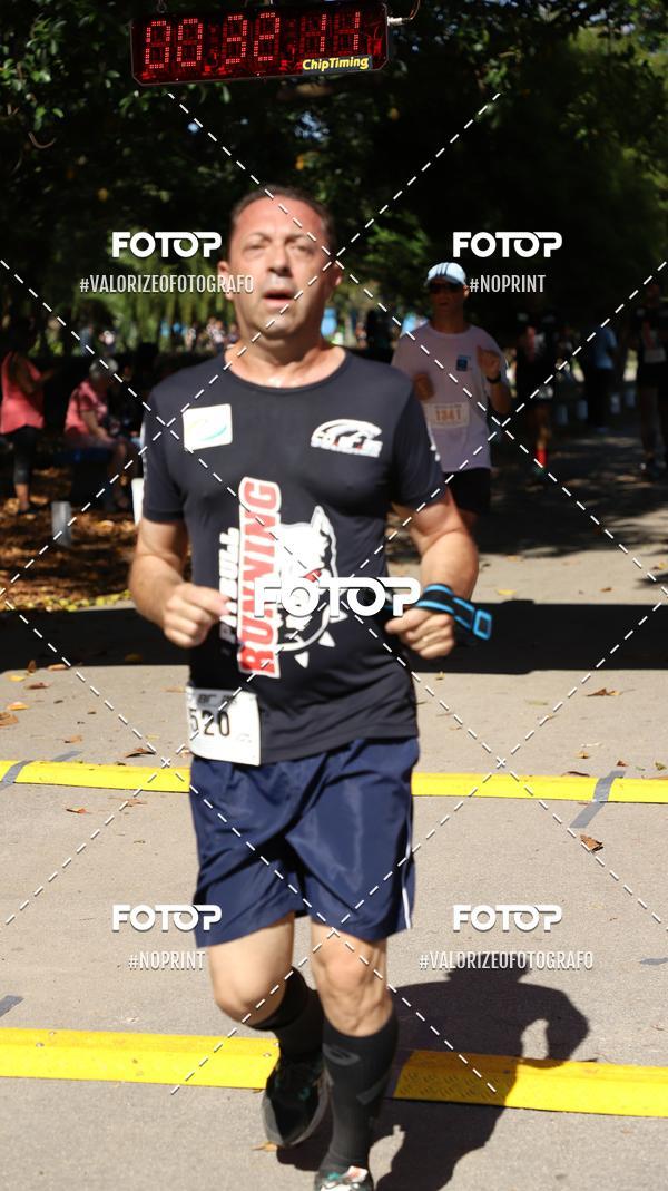 Compra tus fotos del eventoPIT BULL RUNNING En Fotop